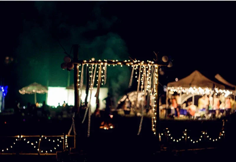 USB/Battery LED Globe String Lights – Decorative Indoor & Outdoor Lights for Christmas, Weddings, Gardens & Parties
