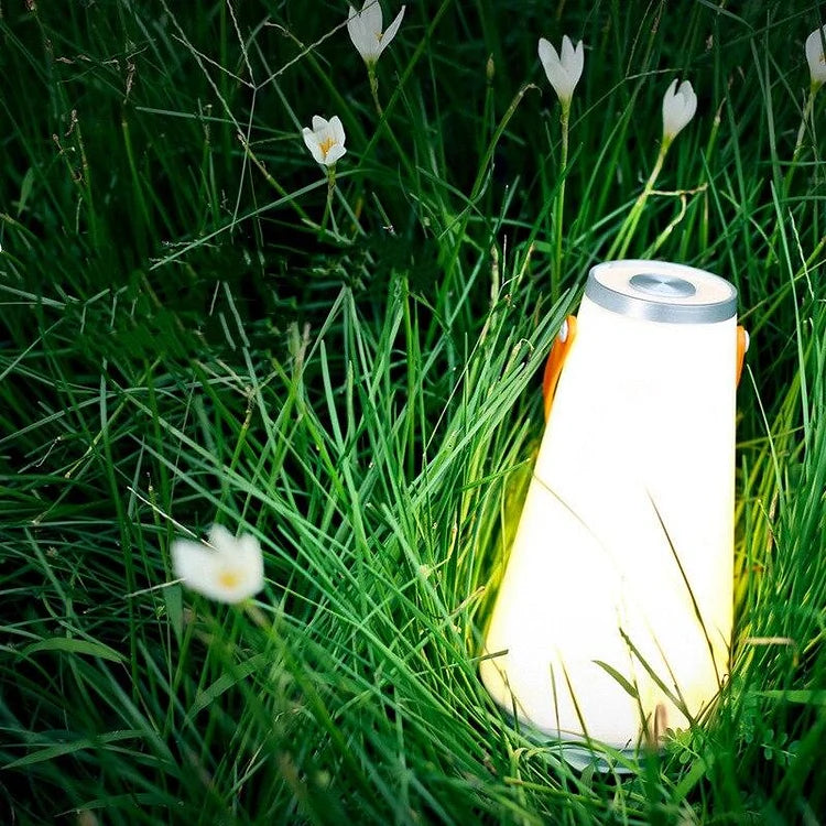 Tragbare LED-Outdoor-Campinglampe-Leuchtezauber